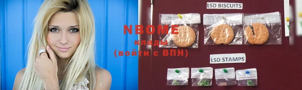 индика Белокуриха