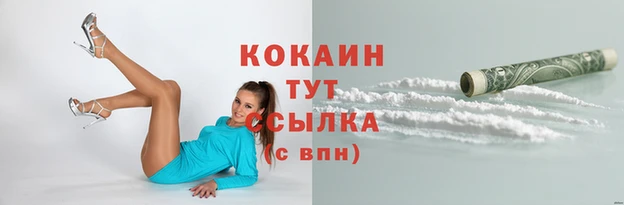 индика Белокуриха