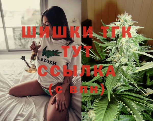 индика Белокуриха