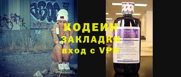 индика Белокуриха