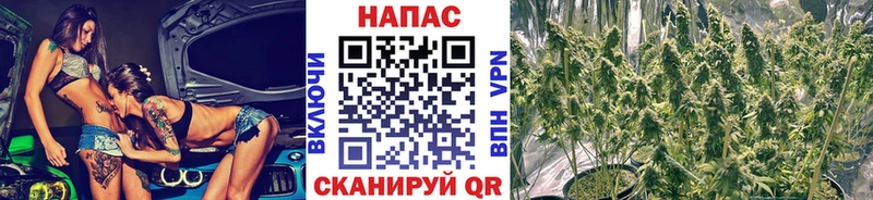 цены наркотик  Приволжский  площадка наркотические препараты  Канабис ГИДРОПОН 